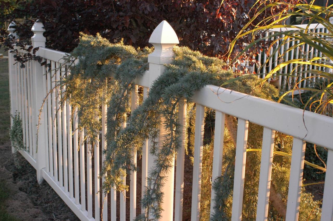 Annville Inn Bed & Breakfast Luaran gambar
