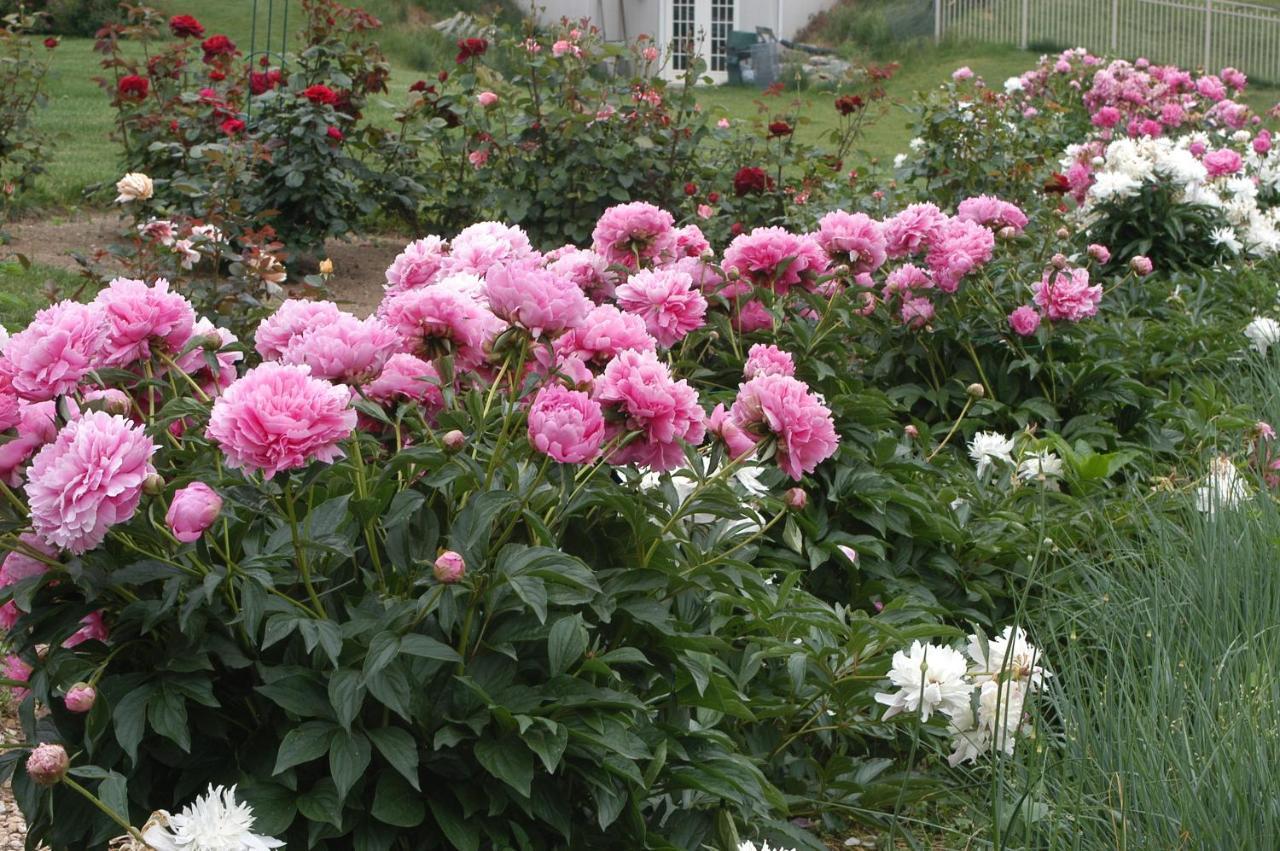 Annville Inn Bed & Breakfast Luaran gambar