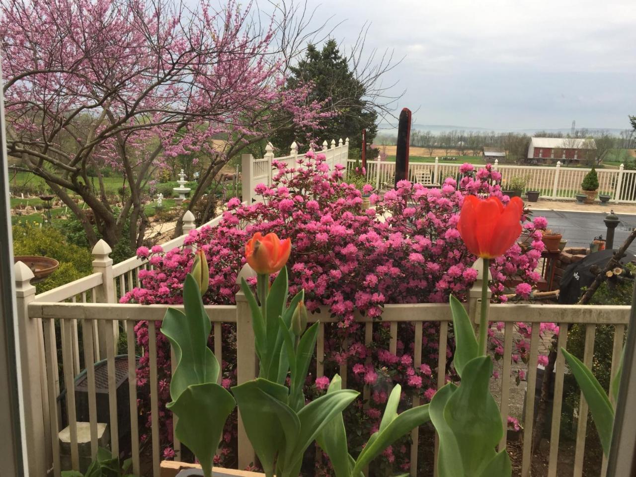 Annville Inn Bed & Breakfast Luaran gambar